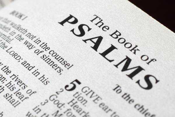 Salmo 91: Completo, Comentado e Oração